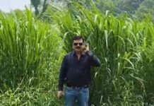 सहारनपुर स्थित रिमाउंट ट्रेनिंग स्कूल एवं डिपो में नेपियर घास का सफल अभियान